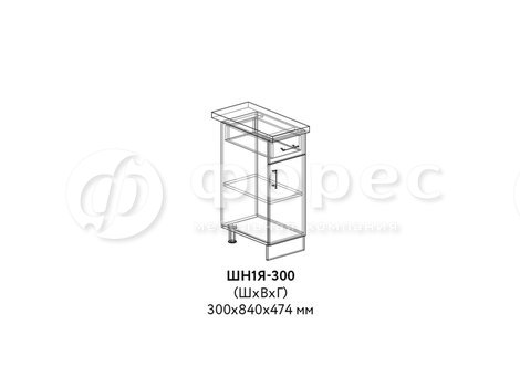 ШН1Я-300