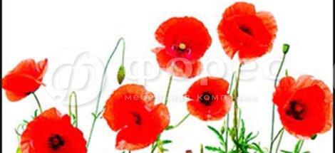 019